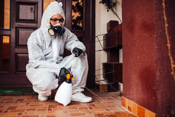 Attic and Crawl Space Rodent Treatment in Three Way