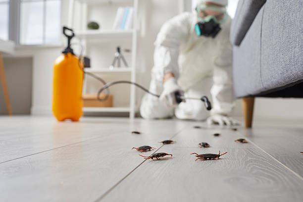 Commercial Rodent Management in Three Way